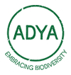 LOGO-ADYA2